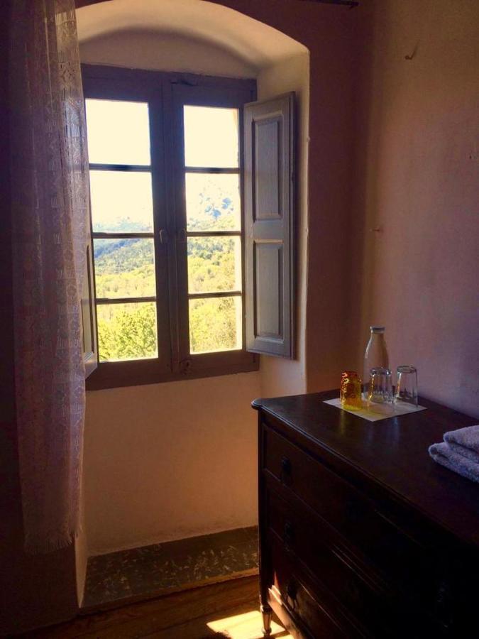 לינה וארוחת בוקר Pioggiola Casa Franceschi מראה חיצוני תמונה